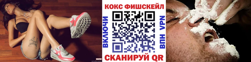 KRAKEN как войти  Дальнереченск  Cocaine Fish Scale 