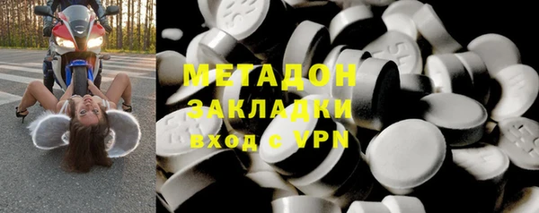 прущие грибы Вяземский