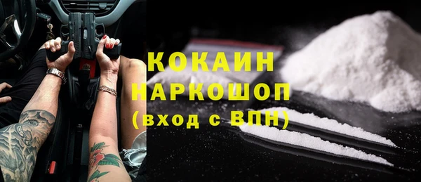 прущие грибы Вяземский