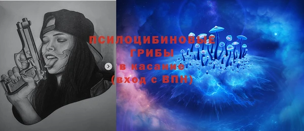прущие грибы Вяземский
