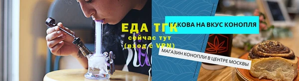 прущие грибы Вяземский