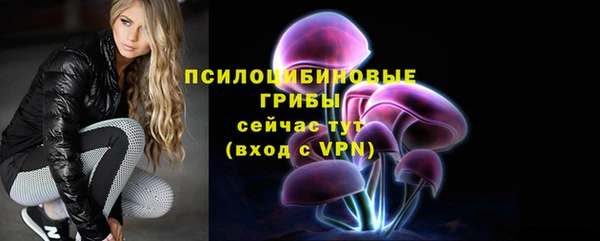 прущие грибы Вяземский