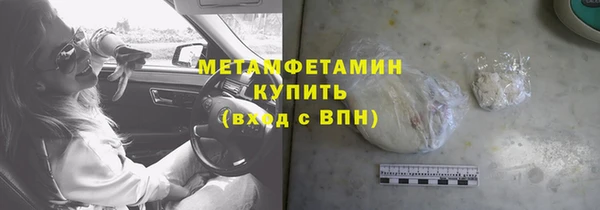 прущие грибы Вяземский