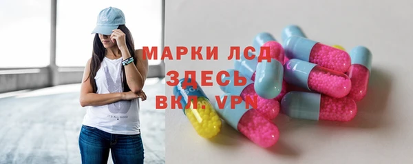 СК Вязьма