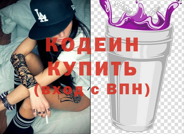 стафф Гатчина