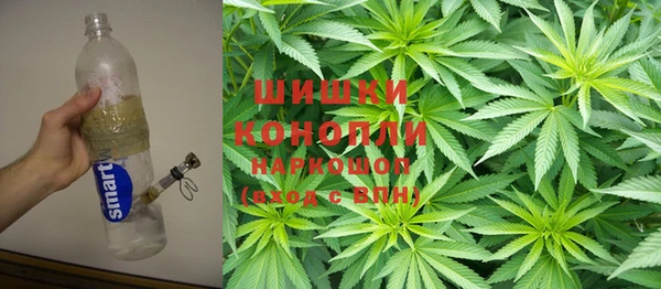 СК Вязьма