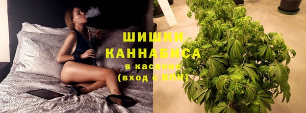 стафф Гатчина