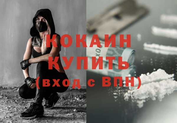 прущие грибы Вяземский