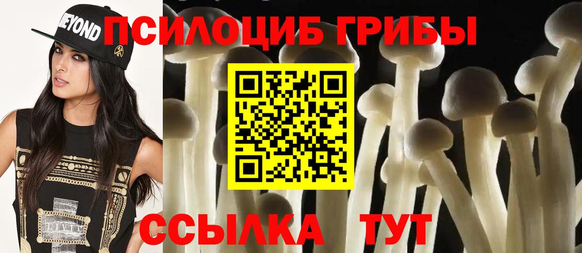 Галлюциногенные грибы Psilocybe Дальнереченск